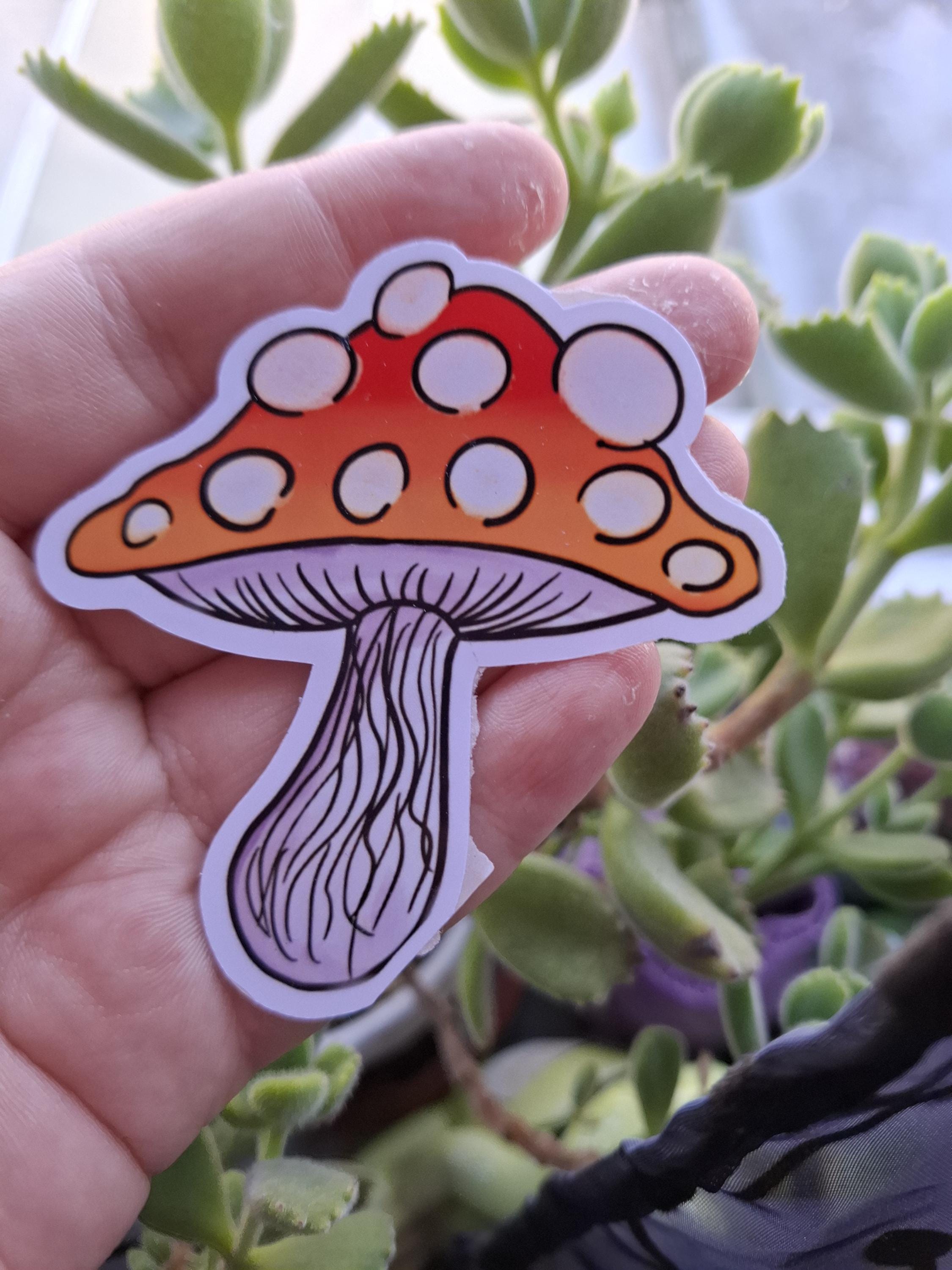 Whimsical Rainbow Trippy Mushrooms vinyl stickers / decals