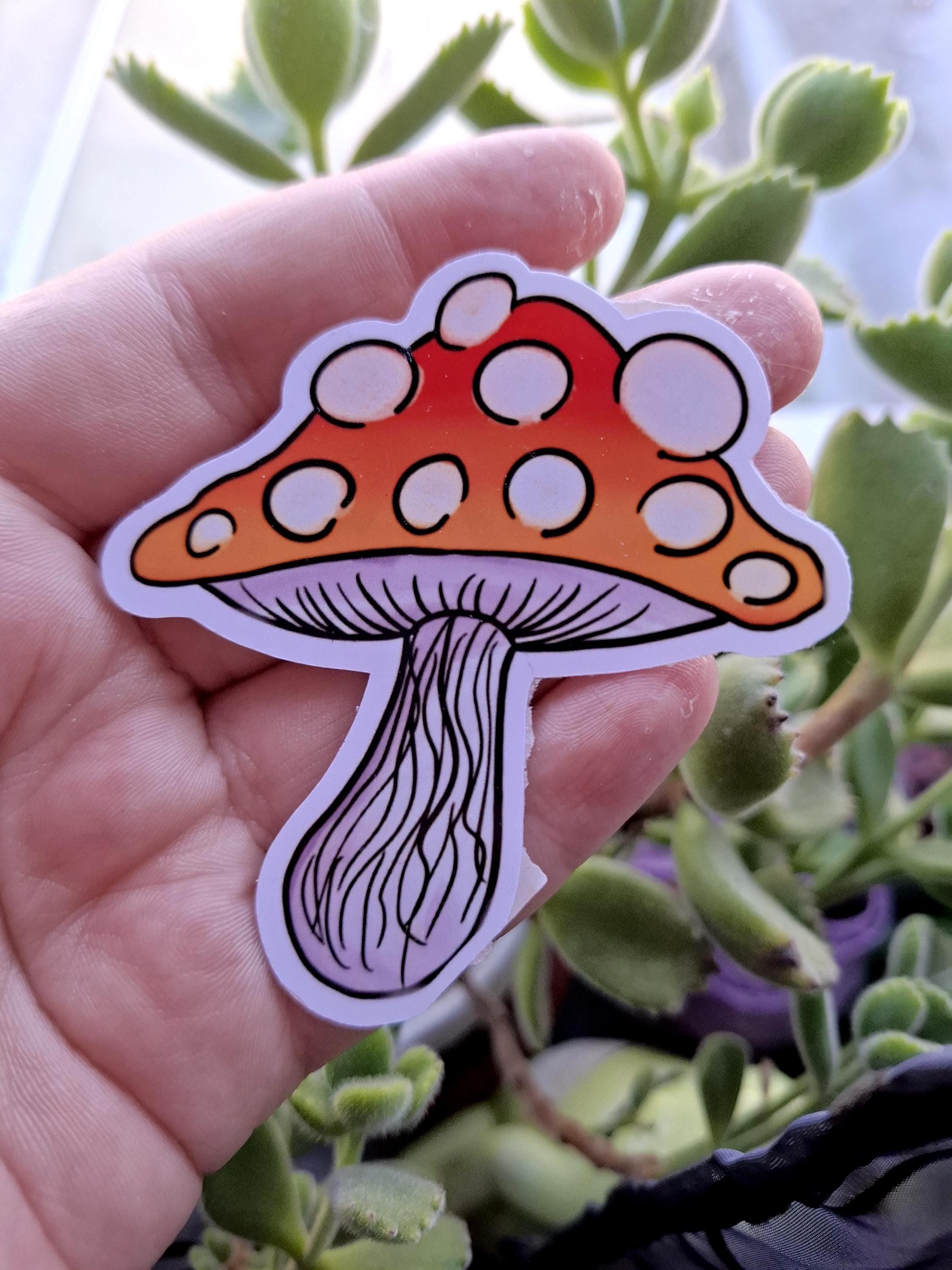 Whimsical Rainbow Trippy Mushrooms vinyl stickers / decals